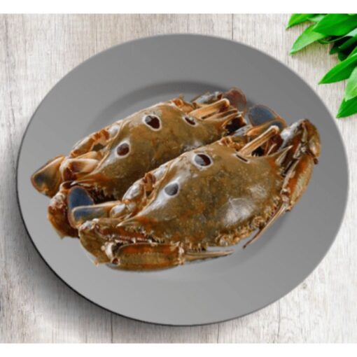 3 Spot Crab - Image 3