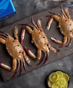 3 Spot Crab
