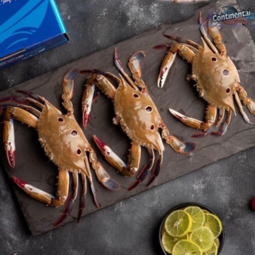 3 Spot Crab