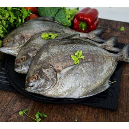 Black Pomfret 1kg - Image 3