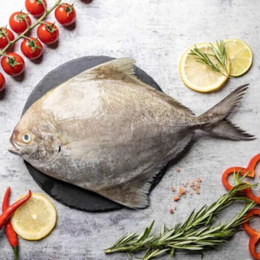 Black Pomfret