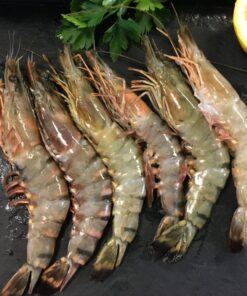Brown Shrimp (Headless)