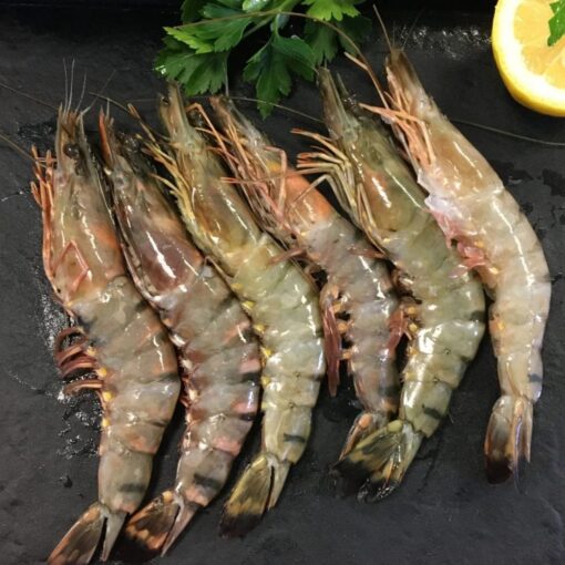 Brown Shrimp (Headless)