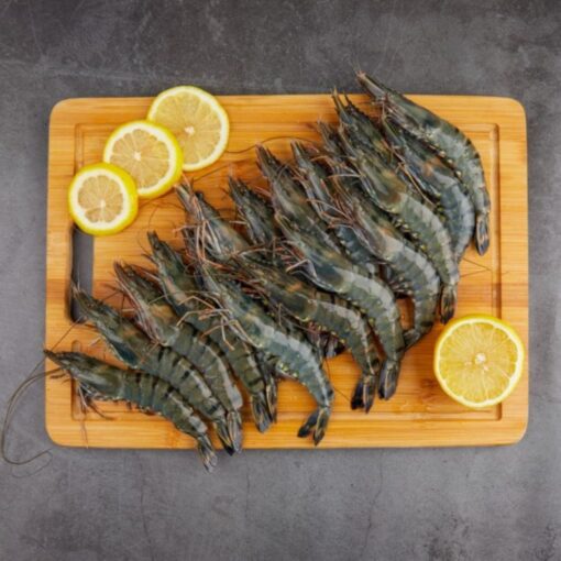 Cat Tiger Shrimp (Head-On) - Image 2