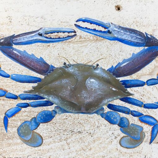 Blue Swimmer Crab - Image 2