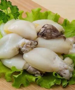 Cuttle Fish Meat