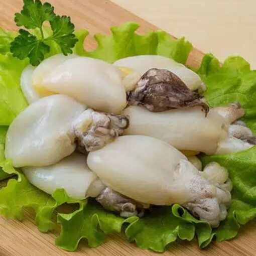 Cuttle Fish Meat