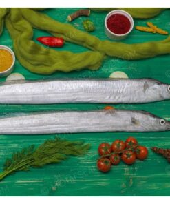 Eel Fish