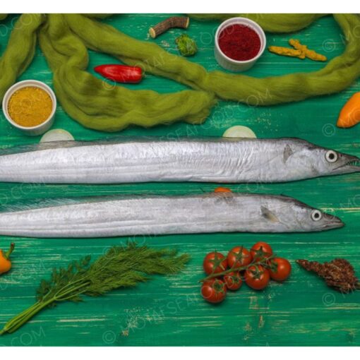 Eel Fish