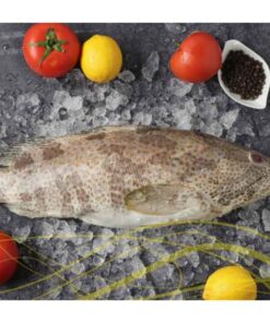 Grouper