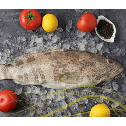 Grouper