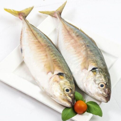 Horse Mackerel - Image 3