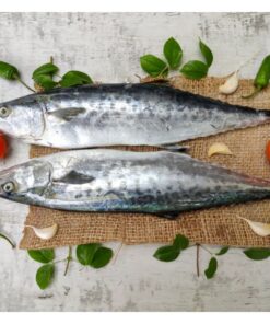 King Fish