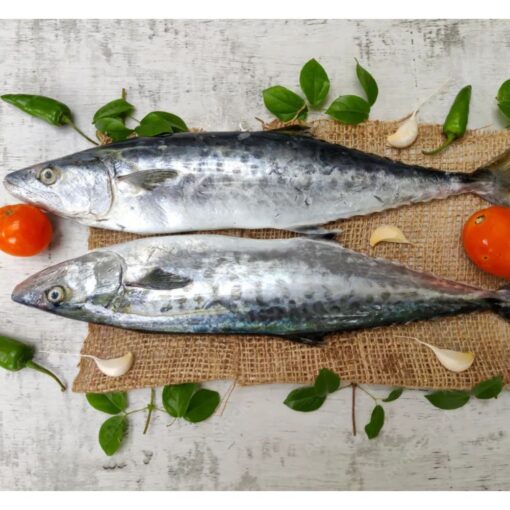 King Fish