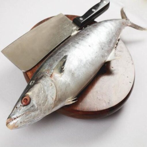 King Fish - Image 2