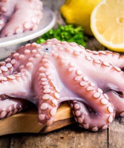 Octopus
