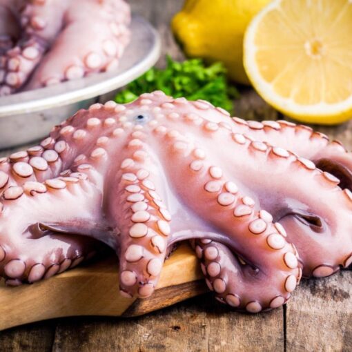 Octopus