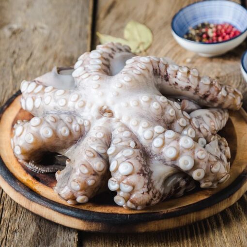 Octopus - Image 2