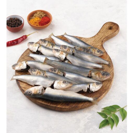 Sardin 1kg