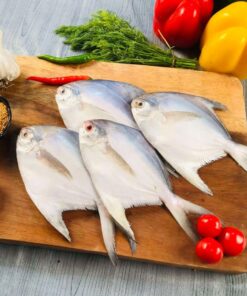 Silver Pomfret