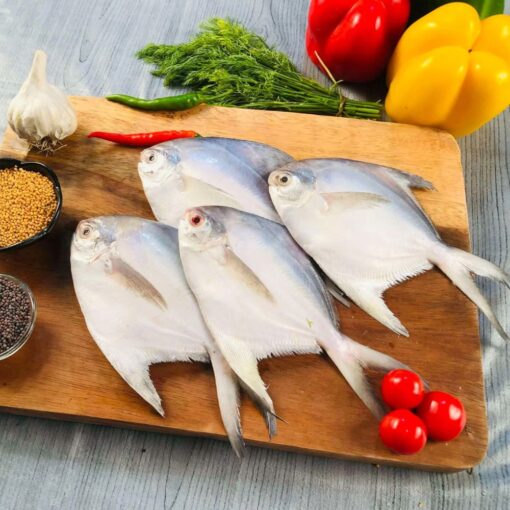 Silver Pomfret