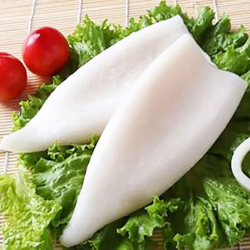 Squid Meat