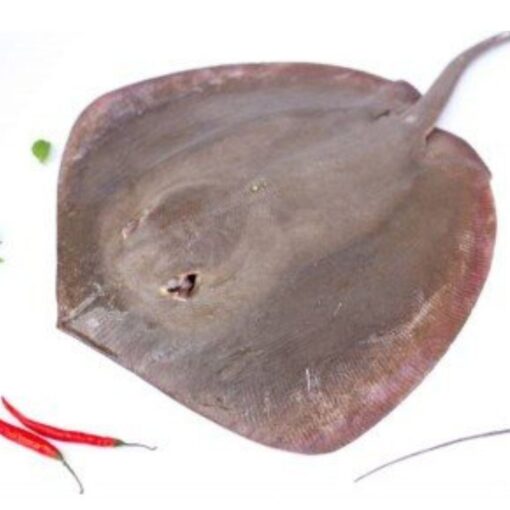 Stingray - Image 2
