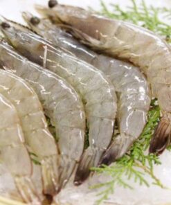 White Shrimp (headless)