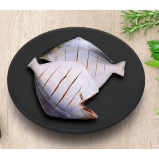 Silver Pomfret - Image 3