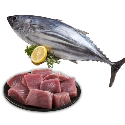Tuna - Image 2